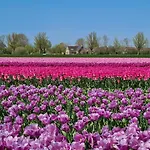 7a Op Recreatiepark De Wielen *