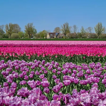 7a Op Recreatiepark De Wielen *